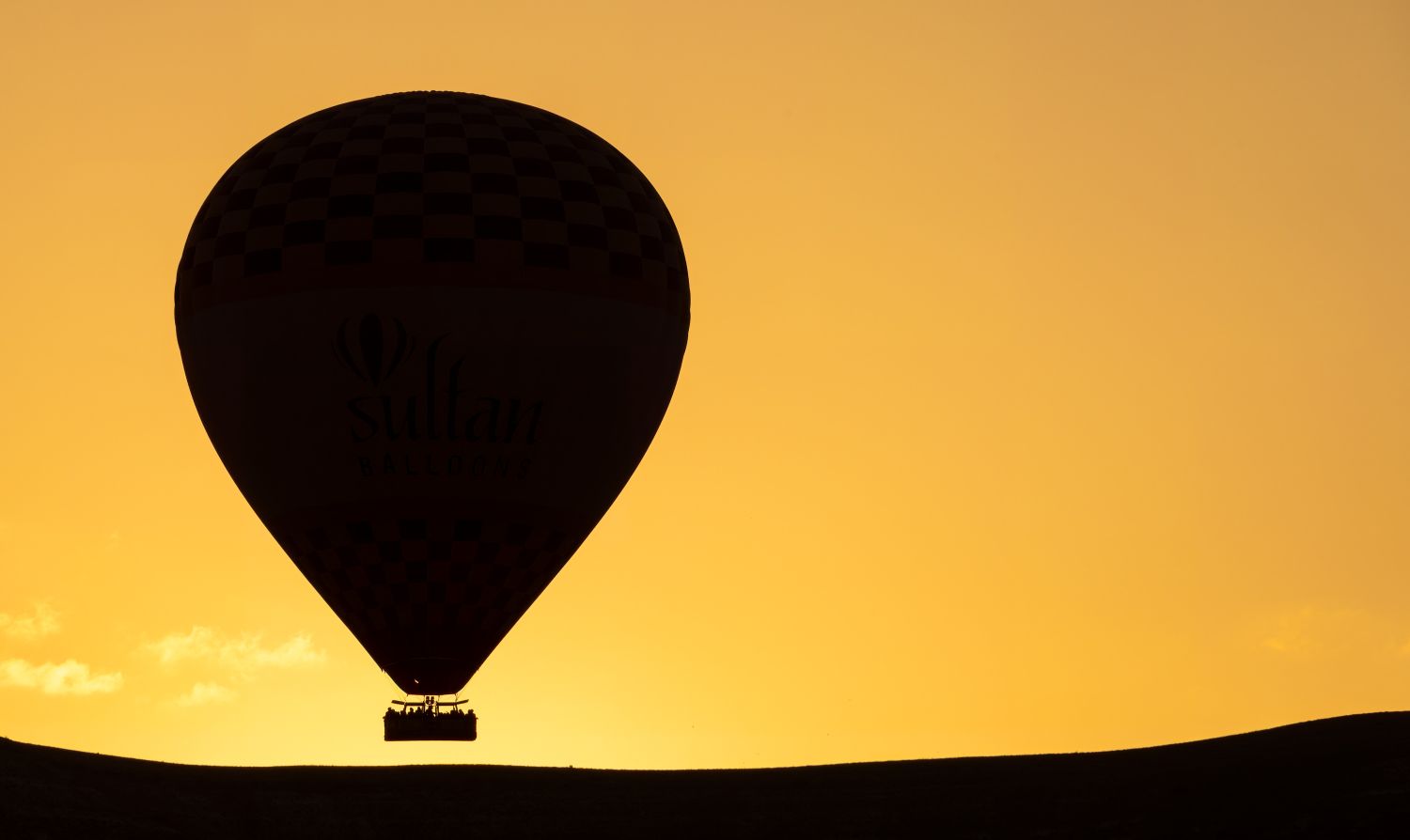 Balloon Silhouette 4