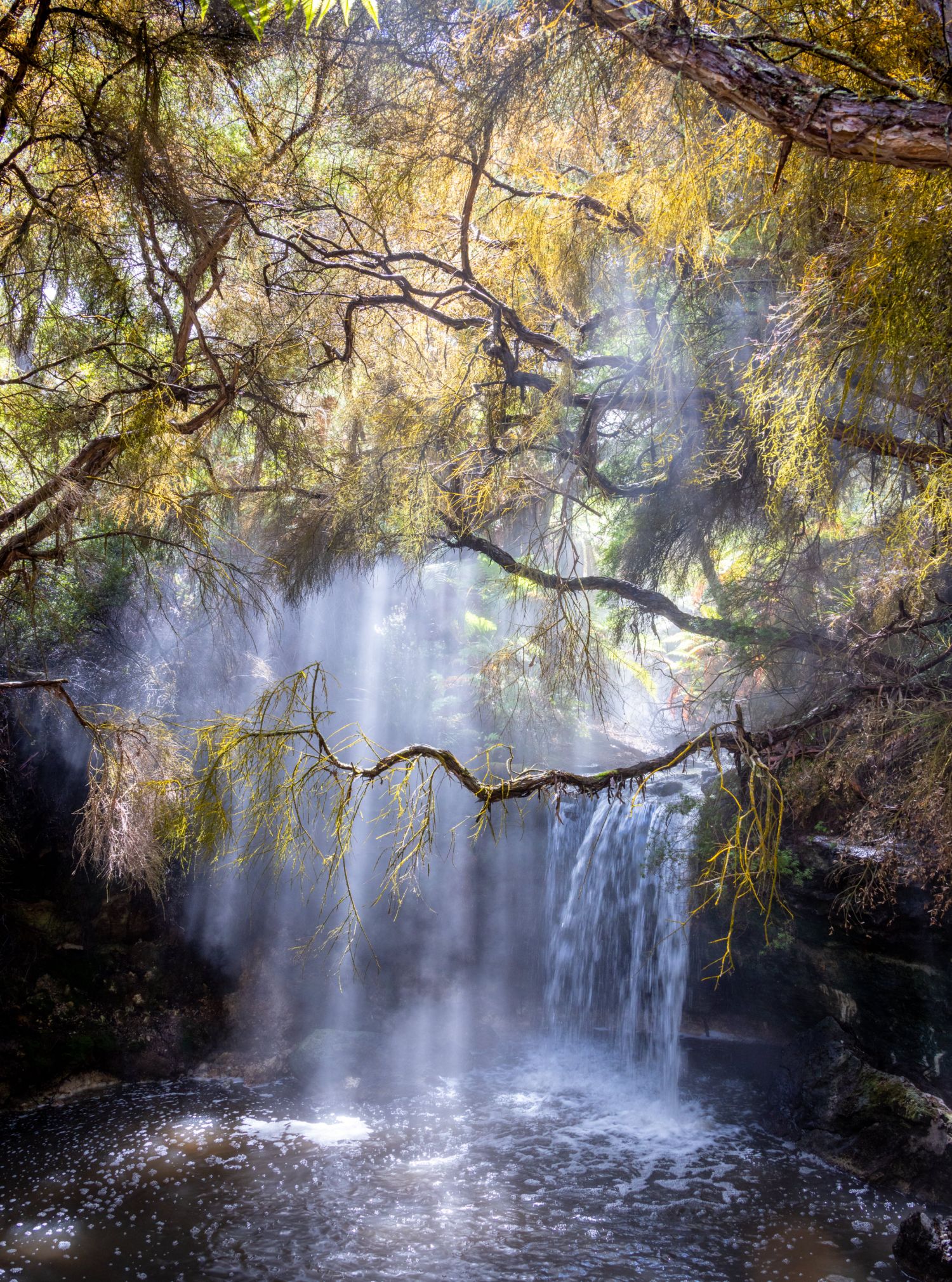 Steam and Sunlight