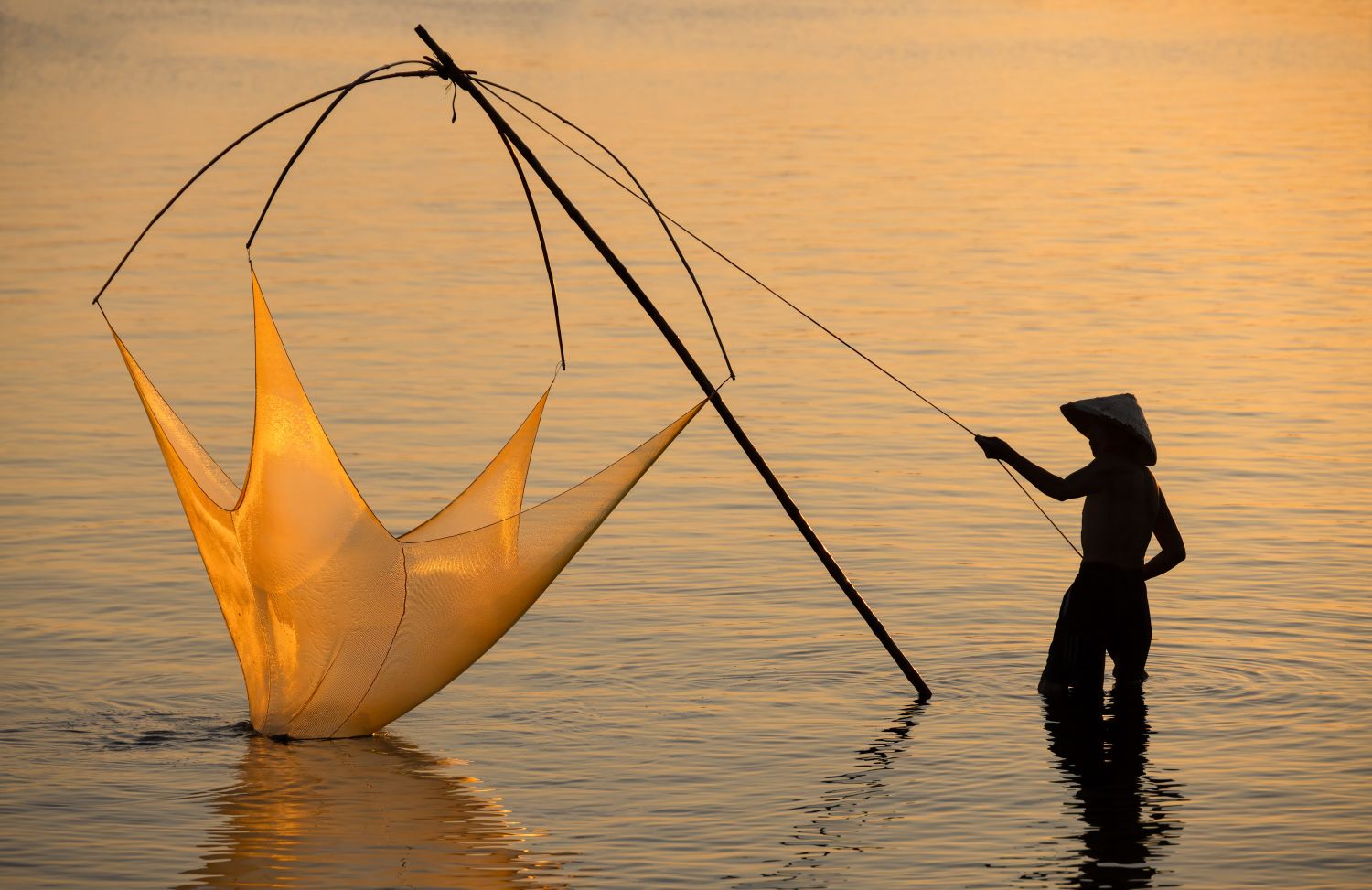 Rising up the Net