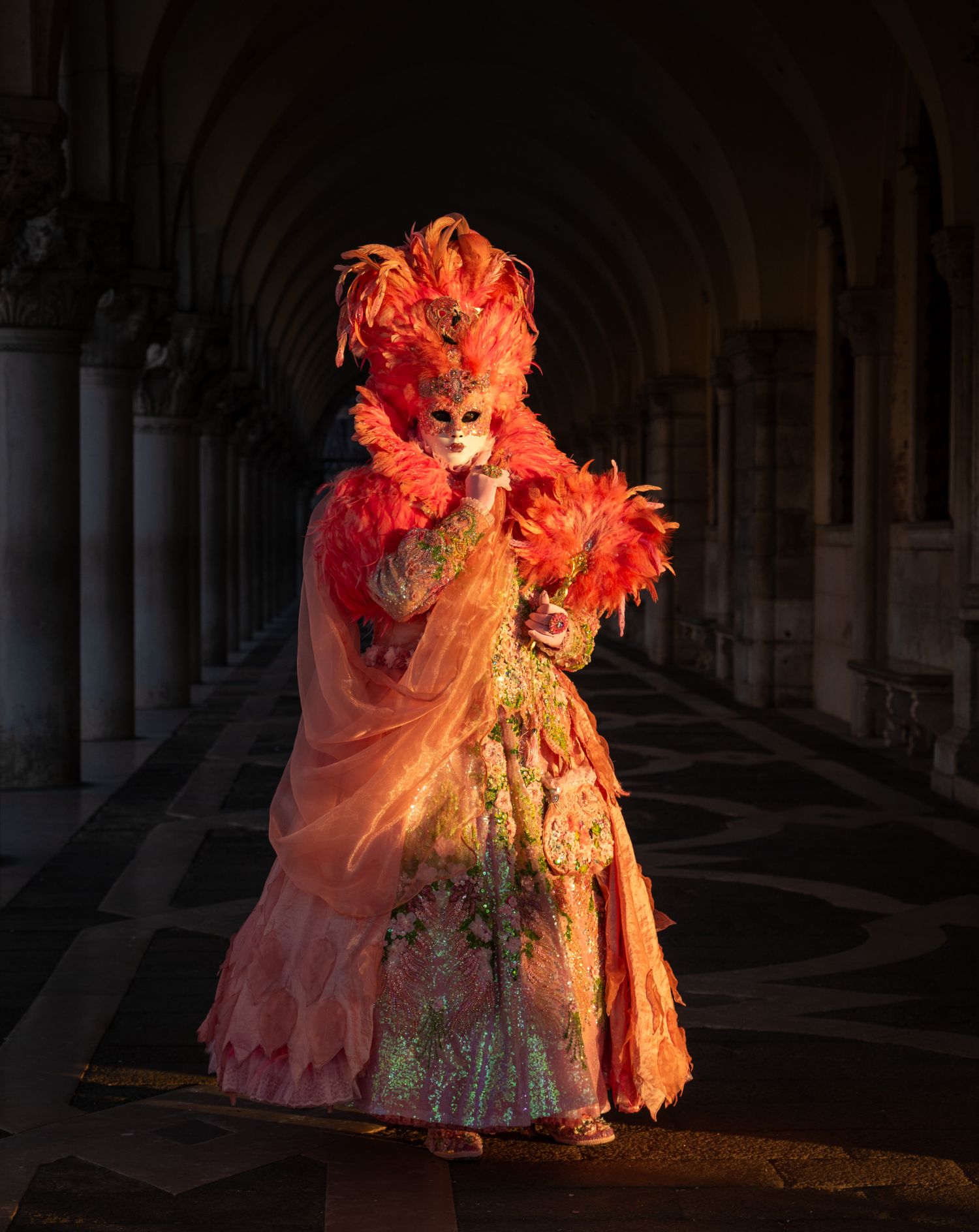 Venice Carnival Costume