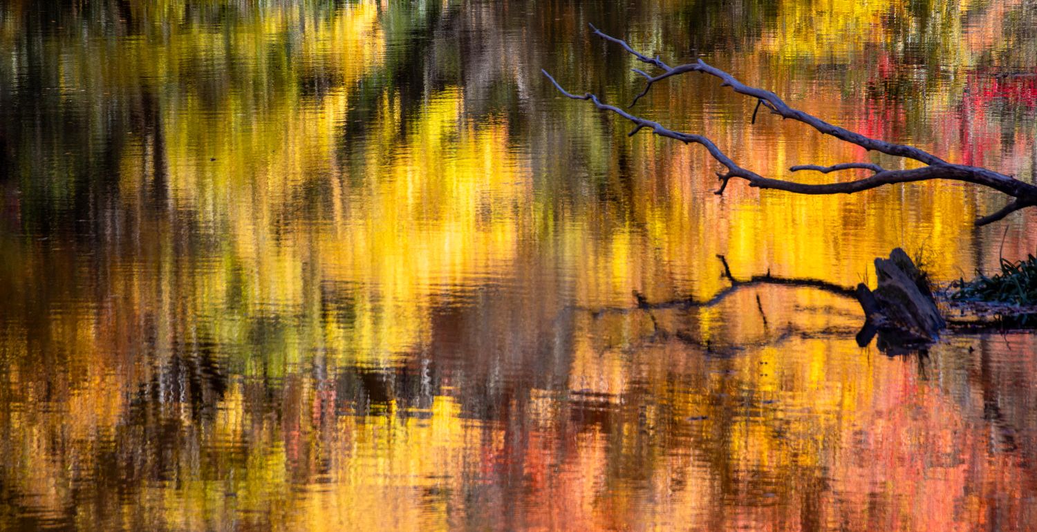 Fall Reflections 