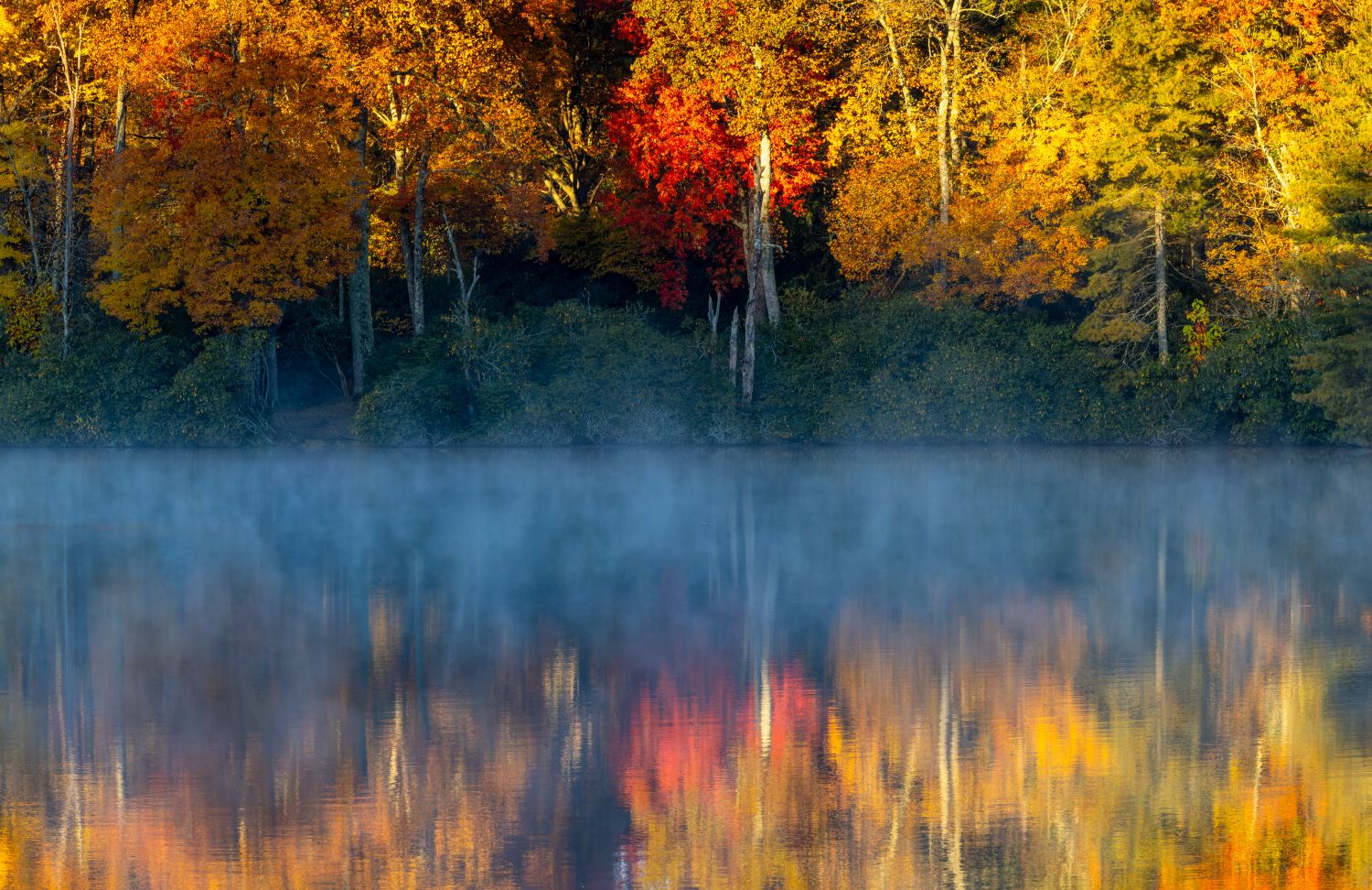 Fall Colours Reflection