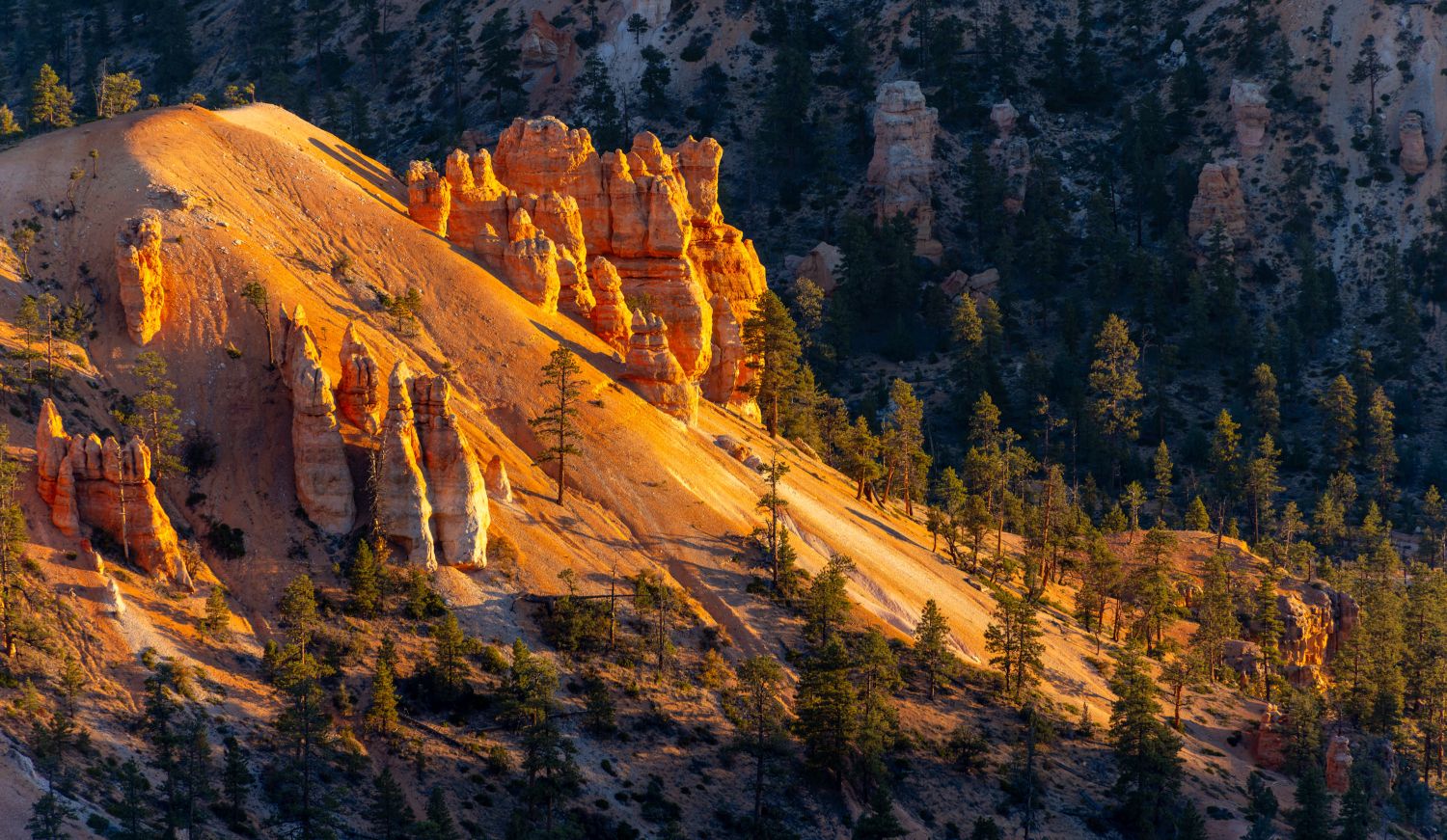 Bryce Canyon Sunrise