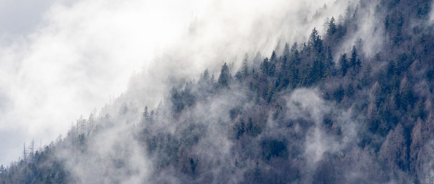 Julian Alps Mist 4