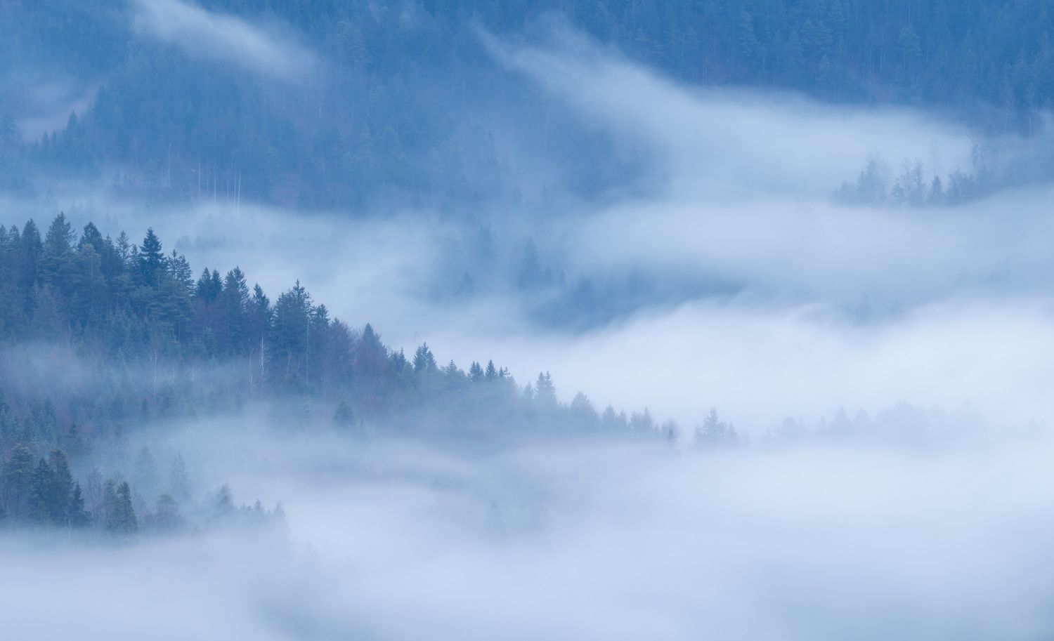 Julian Alps Mist 3