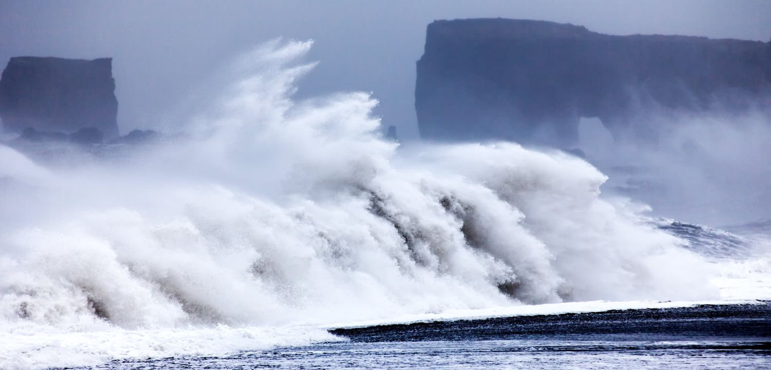 White Horses Iceland