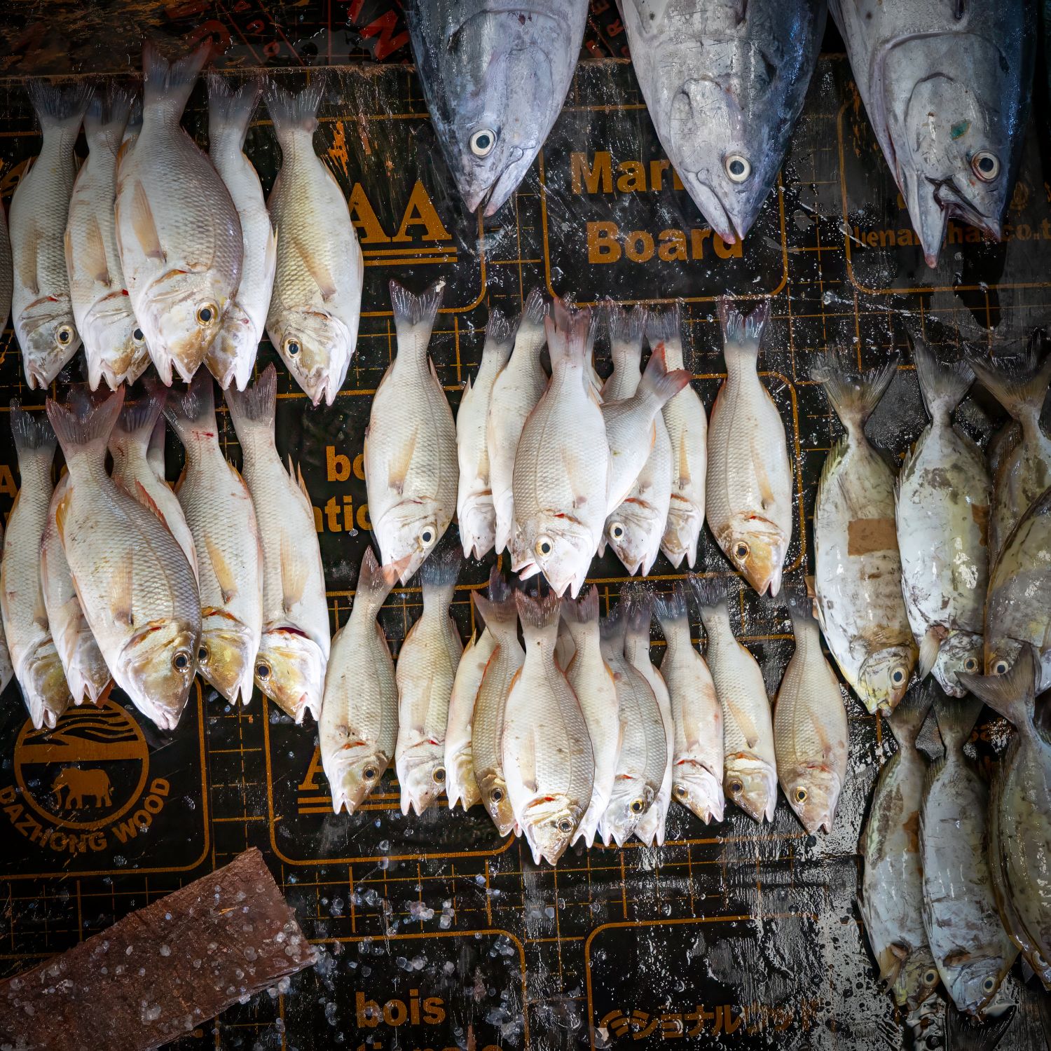 Fish Stall