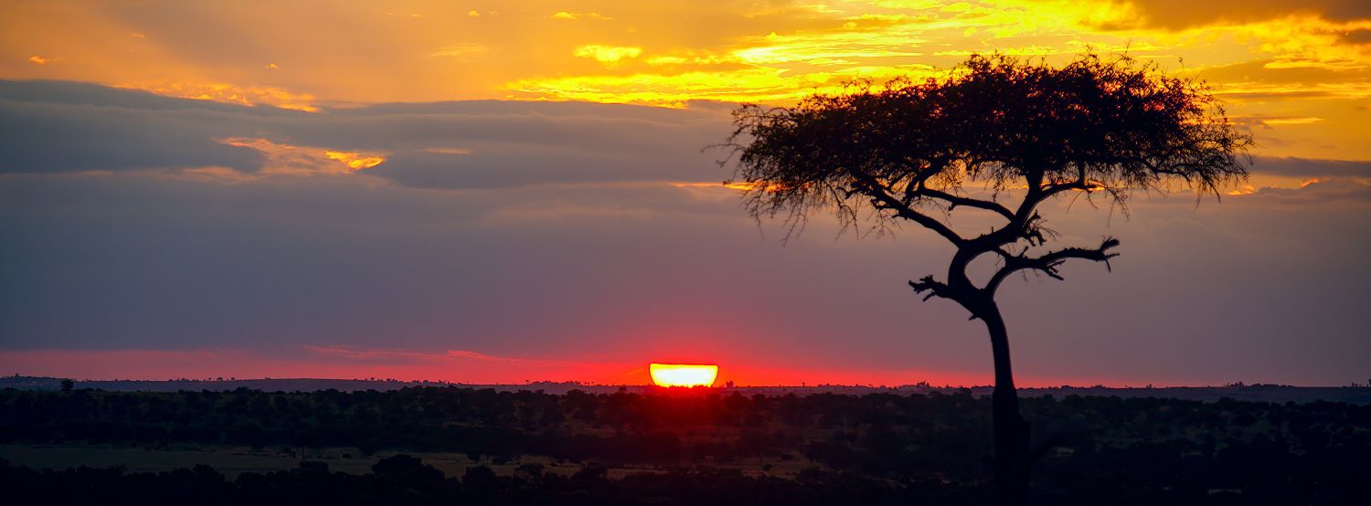 Serengeti Dawn