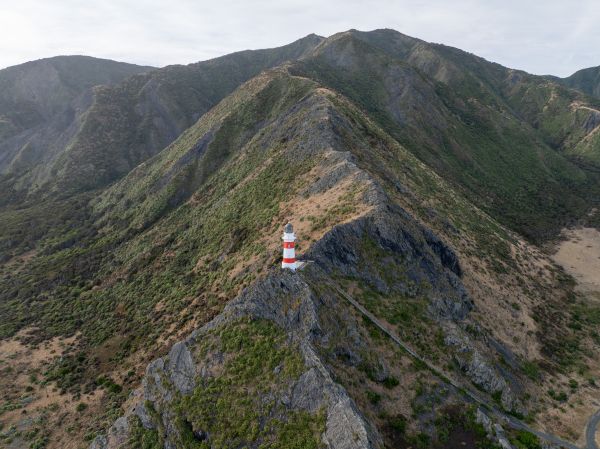 Cape Palliser Lighthouse