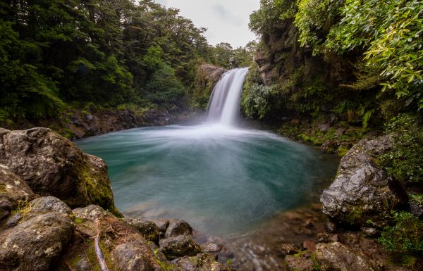 Waterfall Glade