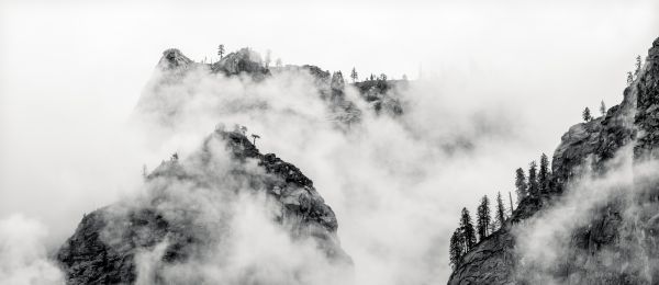 Yosemite Mist