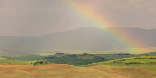 Tuscan Rainbow