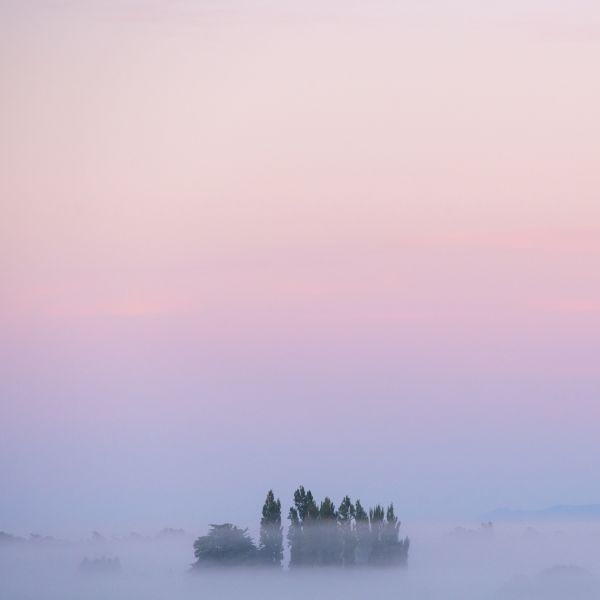 New Zealand Dawn Mist