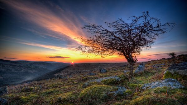 Dartmoor Dawn