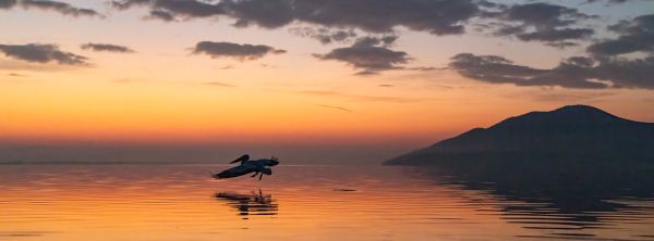 Lake Kerkini Sunrise 1