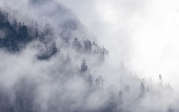 Julian Alps Mist 5