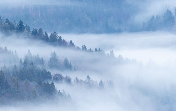 Julian Alps Mist 2