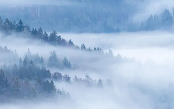 Julian Alps Mist 2