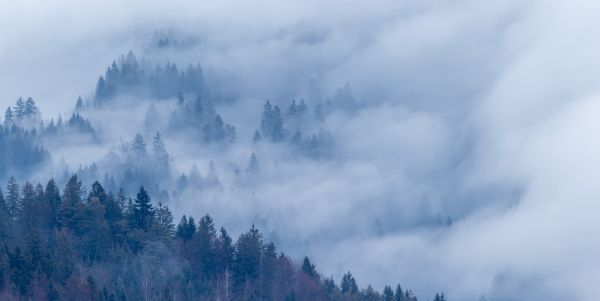 Julian Alps Mist 1