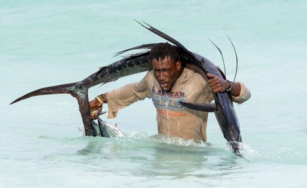 Fish Market Runner