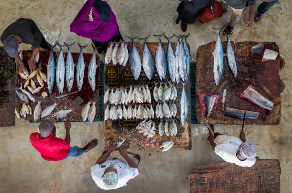 Stone Town Fish Market